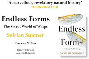 Endless Forms The Secret World of Wasps  Seirian Sumner